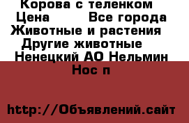 Корова с теленком › Цена ­ 69 - Все города Животные и растения » Другие животные   . Ненецкий АО,Нельмин Нос п.